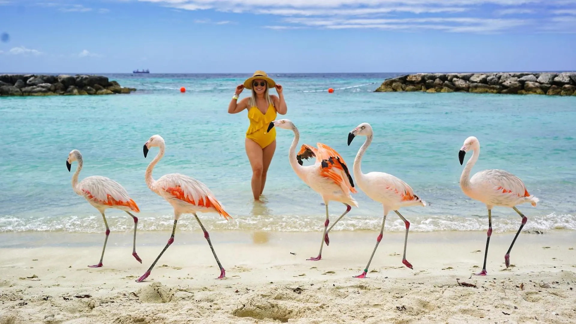 Arubas Life 204 Appartement Noord Aruba